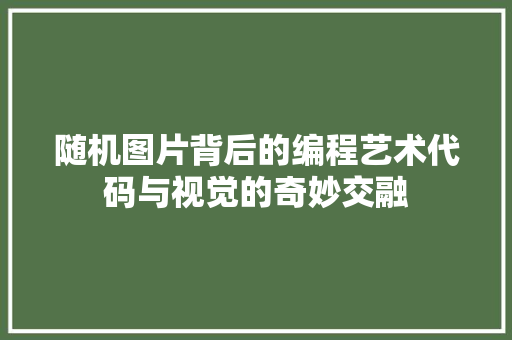 随机图片背后的编程艺术代码与视觉的奇妙交融 搜狗SEO
