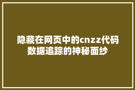 隐藏在网页中的cnzz代码数据追踪的神秘面纱 神马SEO