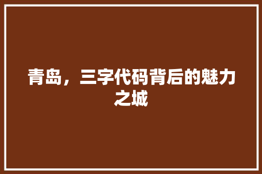 青岛，三字代码背后的魅力之城 神马SEO