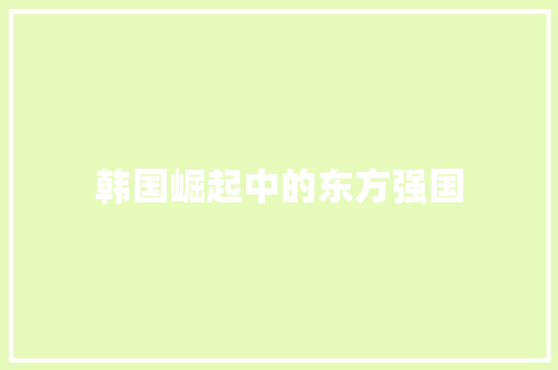 韩国崛起中的东方强国 神马SEO