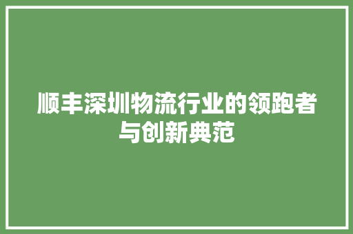 顺丰深圳物流行业的领跑者与创新典范 必应SEO