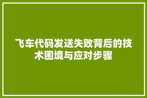 飞车代码发送失败背后的技术困境与应对步骤 必应SEO