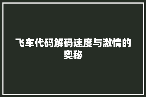 飞车代码解码速度与激情的奥秘 GoogleSEO