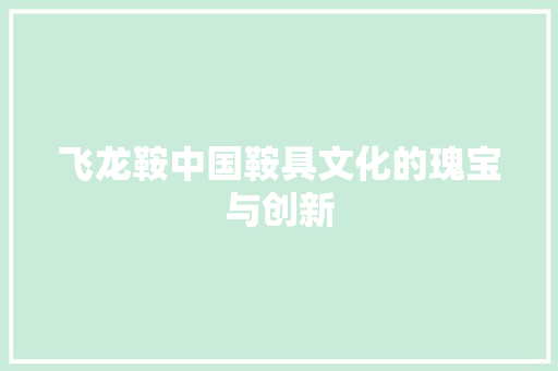 飞龙鞍中国鞍具文化的瑰宝与创新 神马SEO