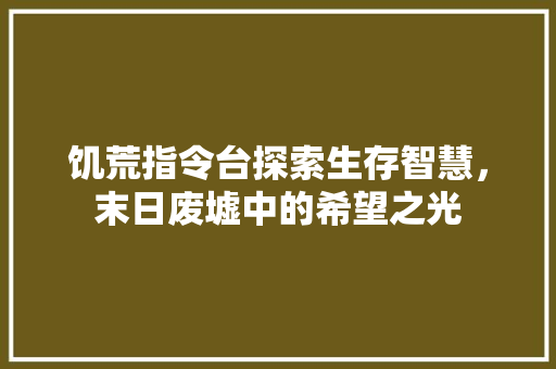 饥荒指令台探索生存智慧，末日废墟中的希望之光 神马SEO