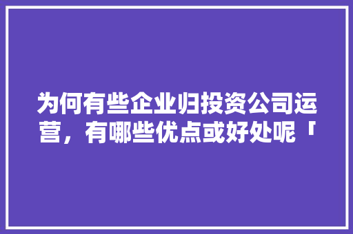 为何有些企业归投资公司运营，有哪些优点或好处呢「为什么做企业运营呢」 为何有些企业归投资公司运营，有哪些优点或好处呢「为什么做企业运营呢」 必应SEO
