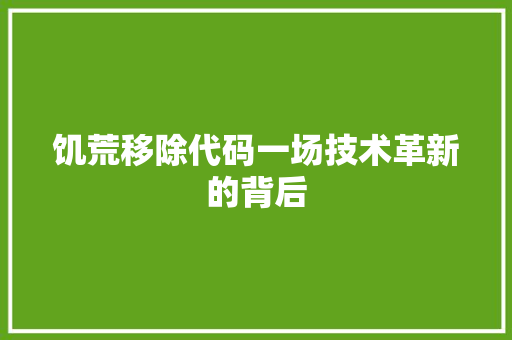 饥荒移除代码一场技术革新的背后 GoogleSEO