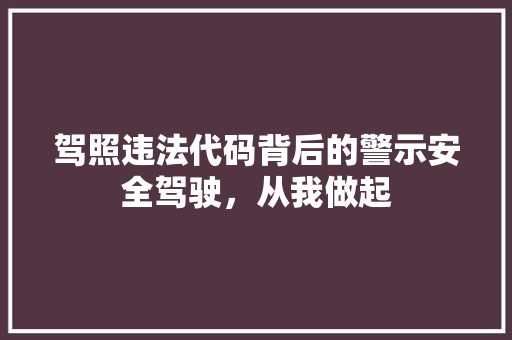 驾照违法代码背后的警示安全驾驶，从我做起 必应SEO