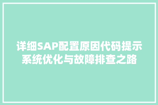 详细SAP配置原因代码提示系统优化与故障排查之路 GoogleSEO