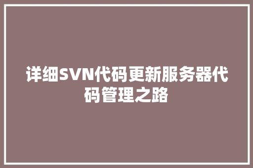 详细SVN代码更新服务器代码管理之路 搜狗SEO