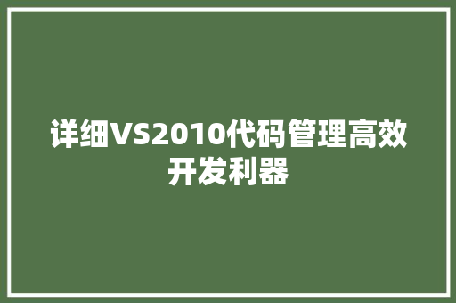 详细VS2010代码管理高效开发利器 必应SEO