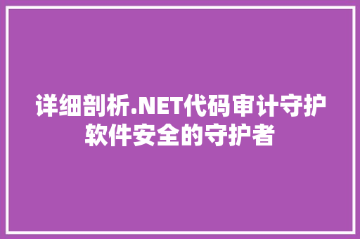 详细剖析.NET代码审计守护软件安全的守护者 搜狗SEO
