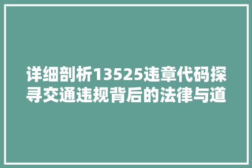 详细剖析13525违章代码探寻交通违规背后的法律与道德思考 神马SEO