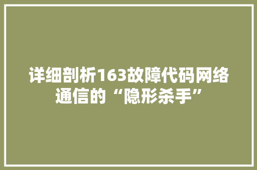 详细剖析163故障代码网络通信的“隐形杀手” 神马SEO