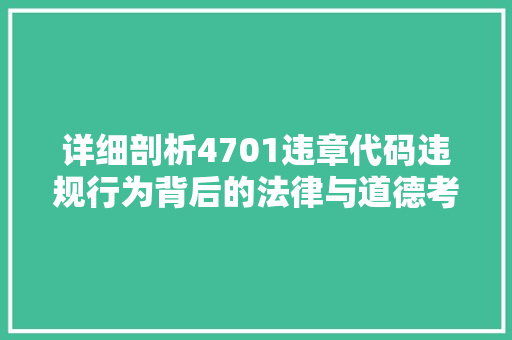 详细剖析4701违章代码违规行为背后的法律与道德考量 GoogleSEO
