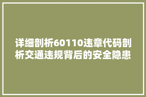 详细剖析60110违章代码剖析交通违规背后的安全隐患与治理步骤 搜狗SEO