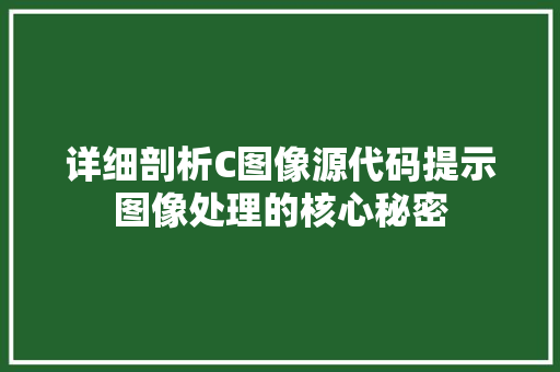 详细剖析C图像源代码提示图像处理的核心秘密 百度SEO