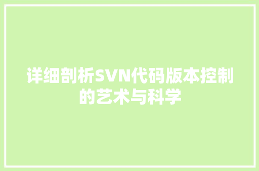 详细剖析SVN代码版本控制的艺术与科学 必应SEO