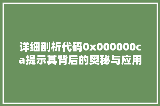 详细剖析代码0x000000ca提示其背后的奥秘与应用前景 GoogleSEO