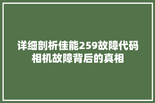 详细剖析佳能259故障代码相机故障背后的真相 GoogleSEO