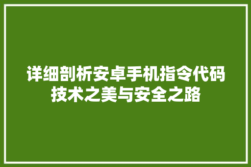 详细剖析安卓手机指令代码技术之美与安全之路 百度SEO
