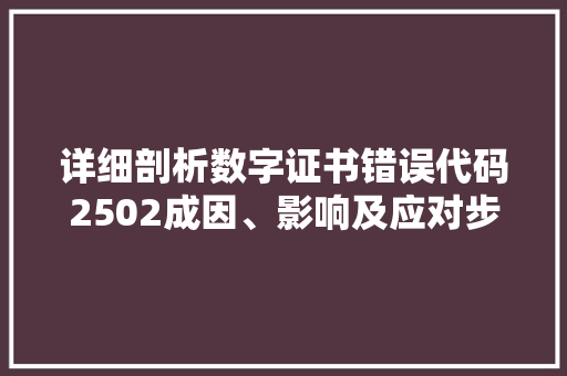详细剖析数字证书错误代码2502成因、影响及应对步骤 必应SEO