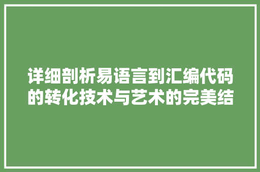 详细剖析易语言到汇编代码的转化技术与艺术的完美结合 神马SEO