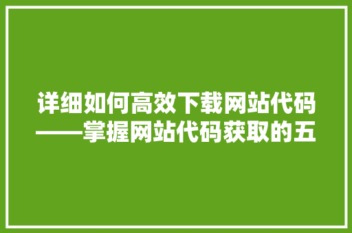详细如何高效下载网站代码——掌握网站代码获取的五大方法 GoogleSEO