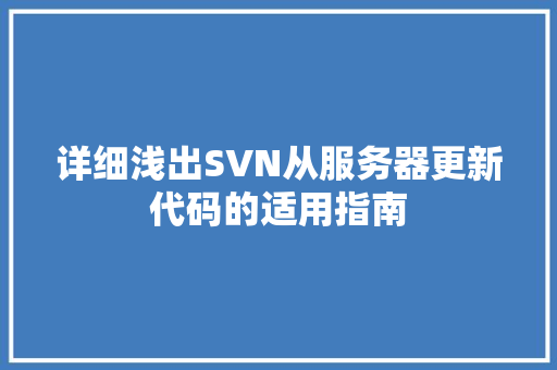 详细浅出SVN从服务器更新代码的适用指南 神马SEO