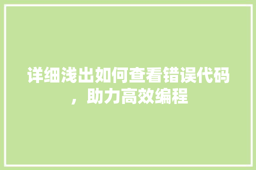 详细浅出如何查看错误代码，助力高效编程 GoogleSEO