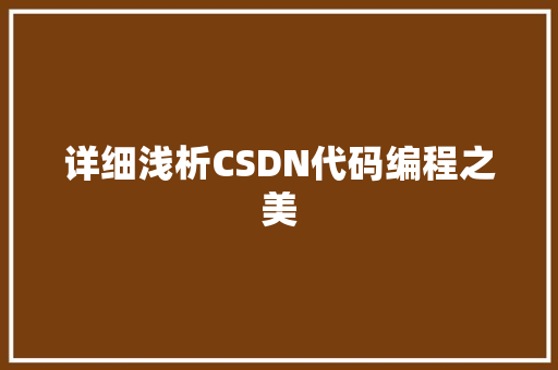 详细浅析CSDN代码编程之美 GoogleSEO