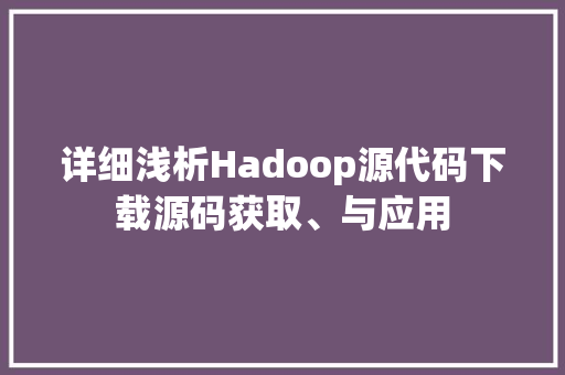 详细浅析Hadoop源代码下载源码获取、与应用 必应SEO