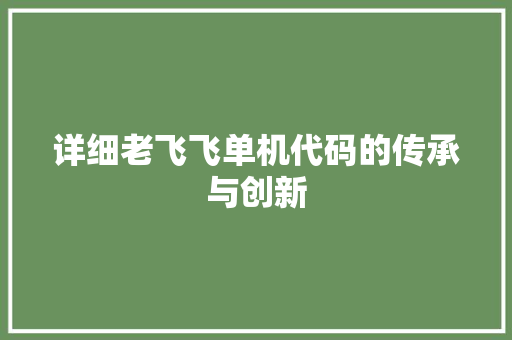 详细老飞飞单机代码的传承与创新 GoogleSEO
