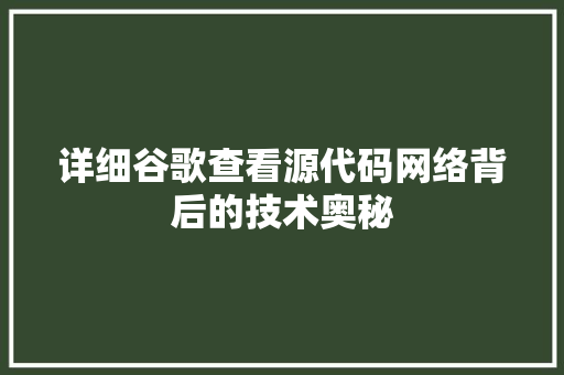 详细谷歌查看源代码网络背后的技术奥秘 详细谷歌查看源代码网络背后的技术奥秘 必应SEO