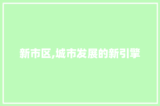 新市区,城市发展的新引擎 未命名