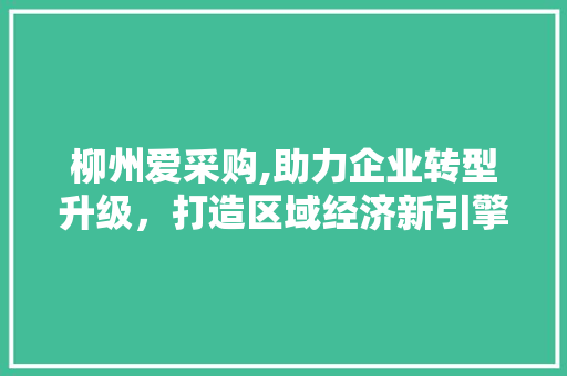 柳州爱采购,助力企业转型升级，打造区域经济新引擎 必应SEO