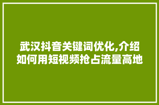 武汉抖音关键词优化,介绍如何用短视频抢占流量高地 百度SEO