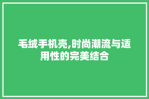 毛绒手机壳,时尚潮流与适用性的完美结合 未命名