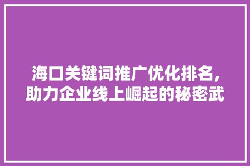海口关键词推广优化排名,助力企业线上崛起的秘密武器 百度SEO