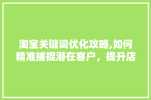 淘宝关键词优化攻略,如何精准捕捉潜在客户，提升店铺销量