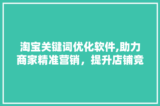 淘宝关键词优化软件,助力商家精准营销，提升店铺竞争力 GoogleSEO