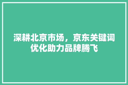 深耕北京市场，京东关键词优化助力品牌腾飞 未命名