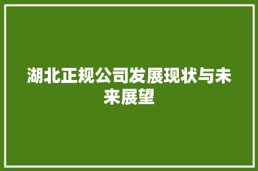 湖北正规公司发展现状与未来展望 必应SEO
