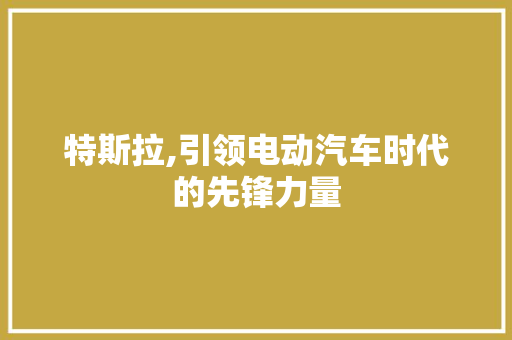 特斯拉,引领电动汽车时代的先锋力量 神马SEO