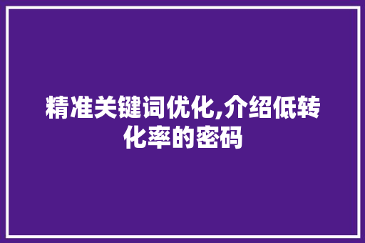 精准关键词优化,介绍低转化率的密码 GoogleSEO