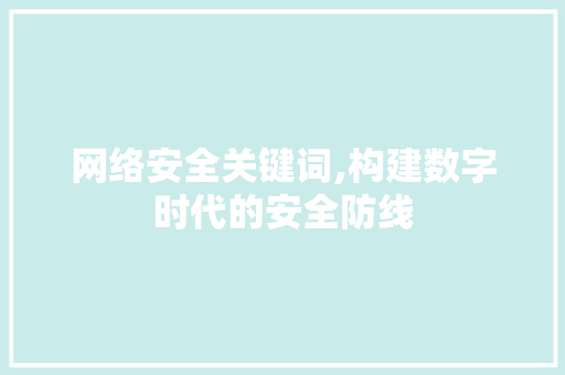 网络安全关键词,构建数字时代的安全防线 未命名