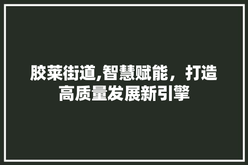 胶莱街道,智慧赋能，打造高质量发展新引擎 神马SEO