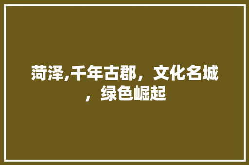 菏泽,千年古郡，文化名城，绿色崛起 未命名