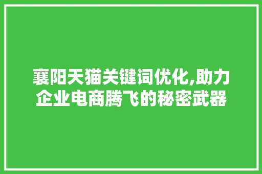 襄阳天猫关键词优化,助力企业电商腾飞的秘密武器