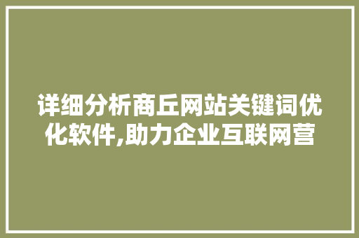 详细分析商丘网站关键词优化软件,助力企业互联网营销腾飞 必应SEO